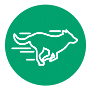 icons-new-graybg-strengthen