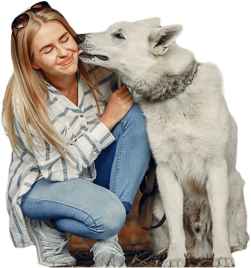 banner-product-presentation