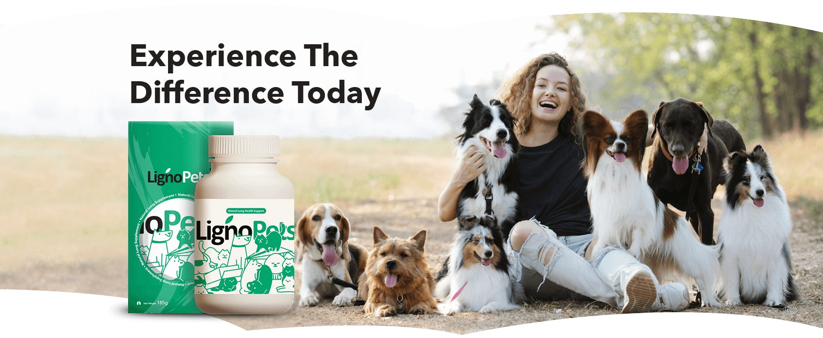 banner-product-presentation