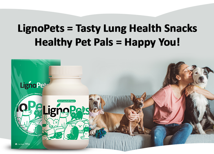 banner-product-presentation