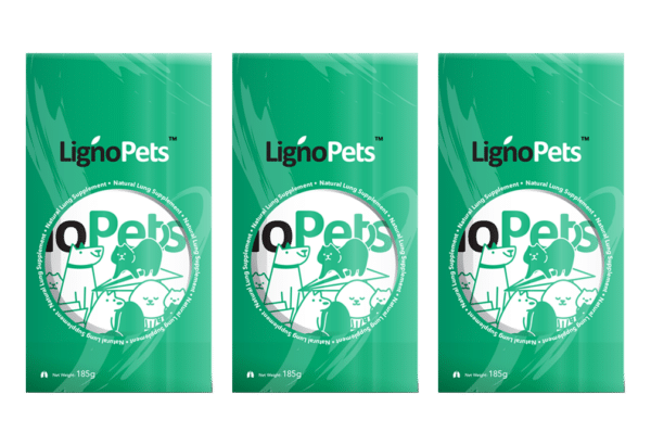 Variation Featured Image